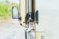 Dog Friendly Campsite North Devon Exmoor | Dogs love it here
